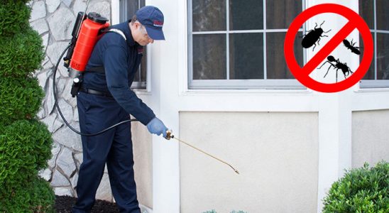 Yerköy Haşere İlaçlama böcek ilaçlama ve haşere kontrolü — ilaclama-tr.com